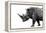 Safari Profile Collection - Rhino White Edition-Philippe Hugonnard-Framed Premier Image Canvas