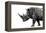 Safari Profile Collection - Rhino White Edition-Philippe Hugonnard-Framed Premier Image Canvas