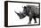 Safari Profile Collection - Rhino White Edition-Philippe Hugonnard-Framed Premier Image Canvas