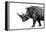 Safari Profile Collection - Rhino White Edition-Philippe Hugonnard-Framed Premier Image Canvas