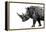 Safari Profile Collection - Rhino White Edition-Philippe Hugonnard-Framed Premier Image Canvas