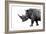 Safari Profile Collection - Rhino White Edition-Philippe Hugonnard-Framed Photographic Print