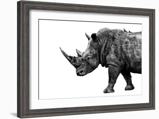 Safari Profile Collection - Rhino White Edition-Philippe Hugonnard-Framed Photographic Print