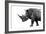 Safari Profile Collection - Rhino White Edition-Philippe Hugonnard-Framed Photographic Print