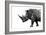 Safari Profile Collection - Rhino White Edition-Philippe Hugonnard-Framed Photographic Print