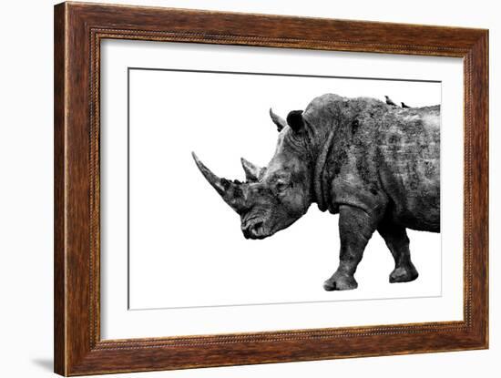 Safari Profile Collection - Rhino White Edition-Philippe Hugonnard-Framed Photographic Print