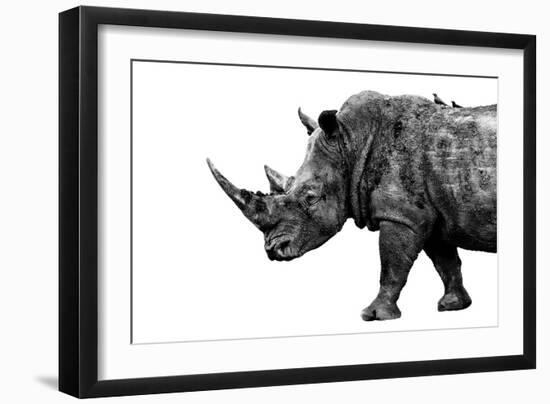 Safari Profile Collection - Rhino White Edition-Philippe Hugonnard-Framed Photographic Print