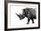 Safari Profile Collection - Rhino White Edition-Philippe Hugonnard-Framed Photographic Print