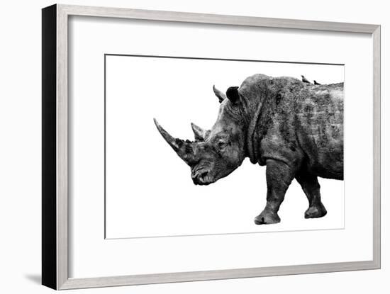 Safari Profile Collection - Rhino White Edition-Philippe Hugonnard-Framed Photographic Print