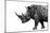 Safari Profile Collection - Rhino White Edition-Philippe Hugonnard-Mounted Photographic Print