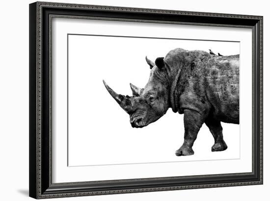 Safari Profile Collection - Rhino White Edition-Philippe Hugonnard-Framed Photographic Print