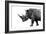 Safari Profile Collection - Rhino White Edition-Philippe Hugonnard-Framed Photographic Print