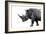 Safari Profile Collection - Rhino White Edition-Philippe Hugonnard-Framed Photographic Print