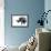 Safari Profile Collection - Rhino White Edition-Philippe Hugonnard-Framed Premium Photographic Print displayed on a wall