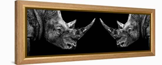 Safari Profile Collection - Rhinos Face to Face Black Edition II-Philippe Hugonnard-Framed Premier Image Canvas