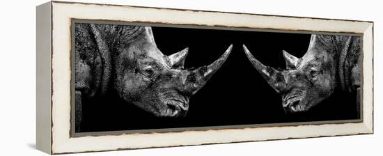 Safari Profile Collection - Rhinos Face to Face Black Edition II-Philippe Hugonnard-Framed Premier Image Canvas