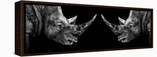 Safari Profile Collection - Rhinos Face to Face Black Edition II-Philippe Hugonnard-Framed Premier Image Canvas