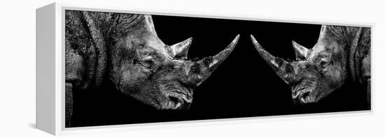 Safari Profile Collection - Rhinos Face to Face Black Edition II-Philippe Hugonnard-Framed Premier Image Canvas