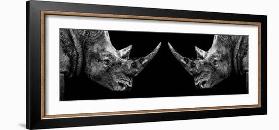 Safari Profile Collection - Rhinos Face to Face Black Edition II-Philippe Hugonnard-Framed Photographic Print