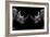 Safari Profile Collection - Rhinos Face to Face Black Edition-Philippe Hugonnard-Framed Photographic Print