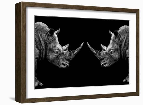 Safari Profile Collection - Rhinos Face to Face Black Edition-Philippe Hugonnard-Framed Photographic Print