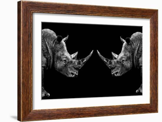 Safari Profile Collection - Rhinos Face to Face Black Edition-Philippe Hugonnard-Framed Photographic Print