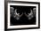 Safari Profile Collection - Rhinos Face to Face Black Edition-Philippe Hugonnard-Framed Photographic Print