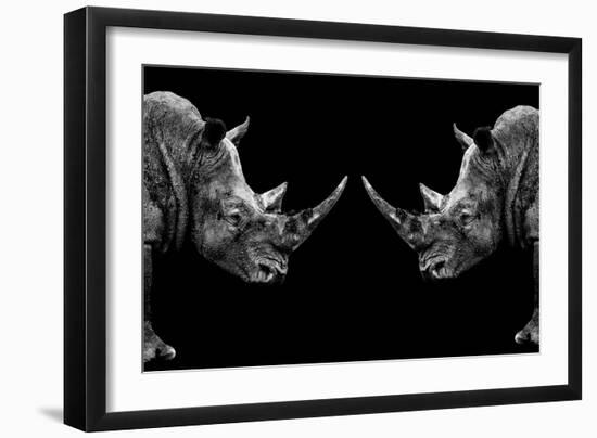 Safari Profile Collection - Rhinos Face to Face Black Edition-Philippe Hugonnard-Framed Photographic Print