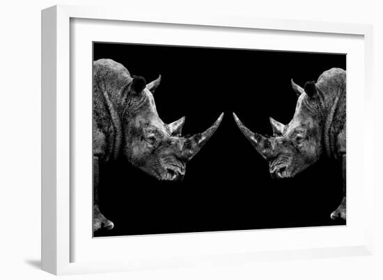 Safari Profile Collection - Rhinos Face to Face Black Edition-Philippe Hugonnard-Framed Photographic Print