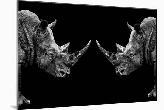 Safari Profile Collection - Rhinos Face to Face Black Edition-Philippe Hugonnard-Mounted Photographic Print