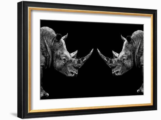 Safari Profile Collection - Rhinos Face to Face Black Edition-Philippe Hugonnard-Framed Photographic Print