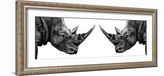 Safari Profile Collection - Rhinos Face to Face White Edition II-Philippe Hugonnard-Framed Photographic Print