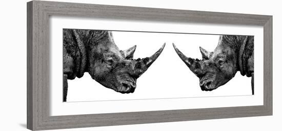 Safari Profile Collection - Rhinos Face to Face White Edition II-Philippe Hugonnard-Framed Photographic Print