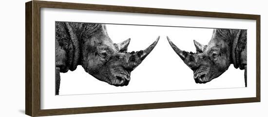 Safari Profile Collection - Rhinos Face to Face White Edition II-Philippe Hugonnard-Framed Photographic Print