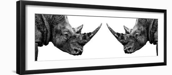 Safari Profile Collection - Rhinos Face to Face White Edition II-Philippe Hugonnard-Framed Photographic Print