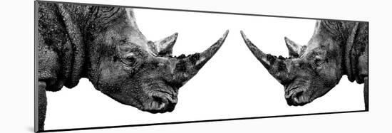 Safari Profile Collection - Rhinos Face to Face White Edition II-Philippe Hugonnard-Mounted Photographic Print