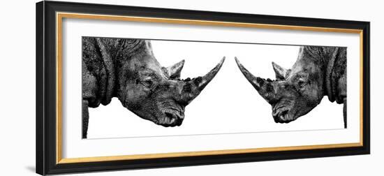 Safari Profile Collection - Rhinos Face to Face White Edition II-Philippe Hugonnard-Framed Photographic Print