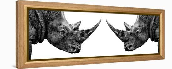 Safari Profile Collection - Rhinos Face to Face White Edition II-Philippe Hugonnard-Framed Premier Image Canvas