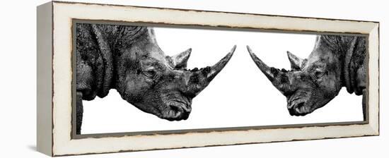 Safari Profile Collection - Rhinos Face to Face White Edition II-Philippe Hugonnard-Framed Premier Image Canvas