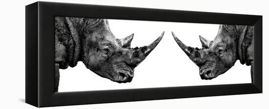 Safari Profile Collection - Rhinos Face to Face White Edition II-Philippe Hugonnard-Framed Premier Image Canvas