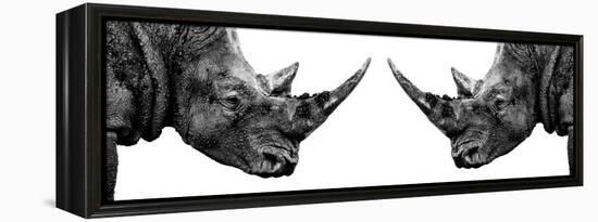 Safari Profile Collection - Rhinos Face to Face White Edition II-Philippe Hugonnard-Framed Premier Image Canvas