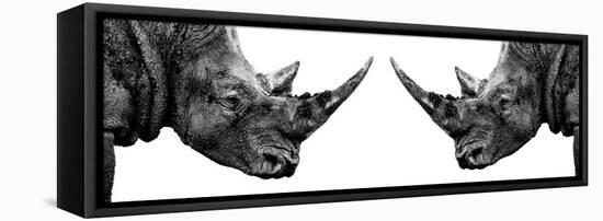 Safari Profile Collection - Rhinos Face to Face White Edition II-Philippe Hugonnard-Framed Premier Image Canvas