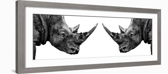Safari Profile Collection - Rhinos Face to Face White Edition II-Philippe Hugonnard-Framed Photographic Print