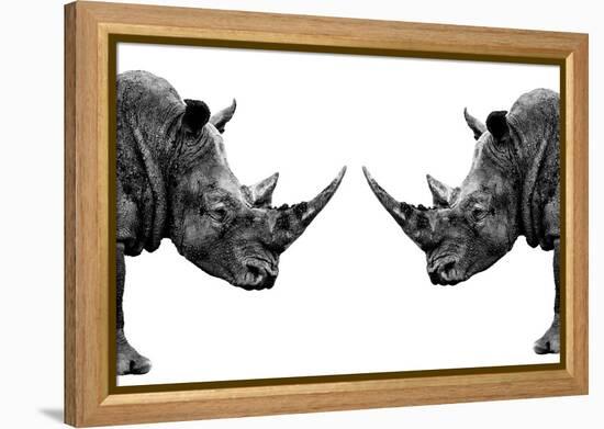 Safari Profile Collection - Rhinos Face to Face White Edition-Philippe Hugonnard-Framed Premier Image Canvas