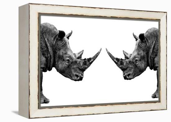 Safari Profile Collection - Rhinos Face to Face White Edition-Philippe Hugonnard-Framed Premier Image Canvas