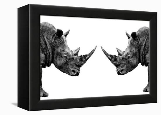 Safari Profile Collection - Rhinos Face to Face White Edition-Philippe Hugonnard-Framed Premier Image Canvas