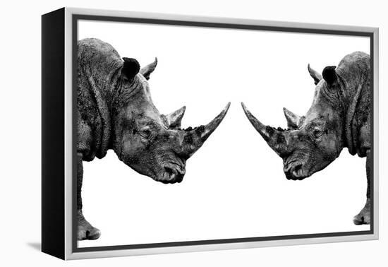 Safari Profile Collection - Rhinos Face to Face White Edition-Philippe Hugonnard-Framed Premier Image Canvas