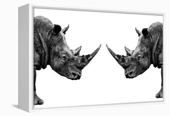 Safari Profile Collection - Rhinos Face to Face White Edition-Philippe Hugonnard-Framed Premier Image Canvas