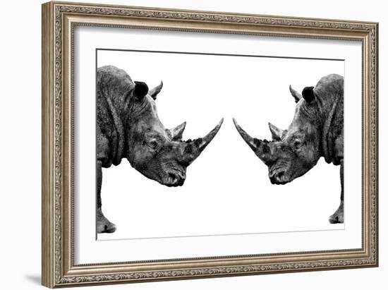 Safari Profile Collection - Rhinos Face to Face White Edition-Philippe Hugonnard-Framed Photographic Print