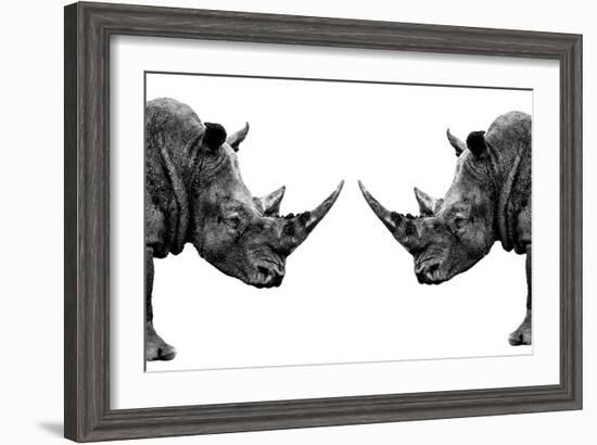 Safari Profile Collection - Rhinos Face to Face White Edition-Philippe Hugonnard-Framed Photographic Print